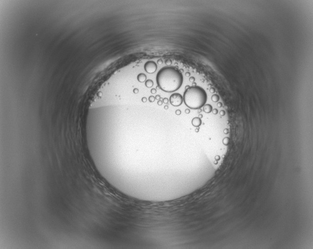 X0000063521016200602172208