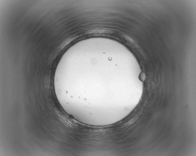 X0000063521017200602172208