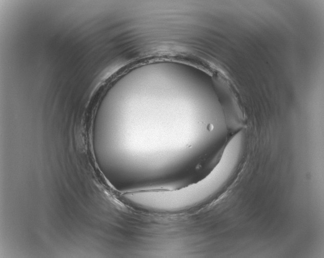 X0000063521018200602172208