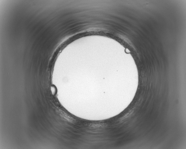 X0000063521021200602172208