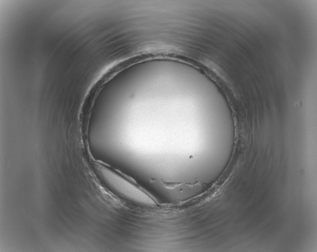 X0000063521022200602172208