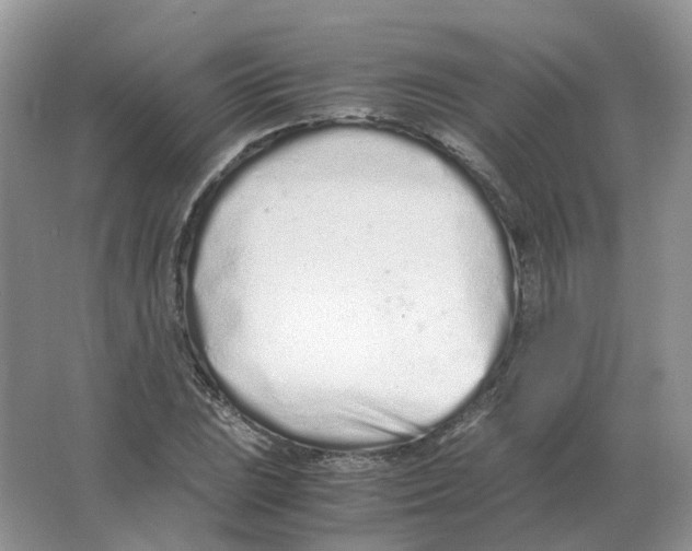 X0000063521023200602172208