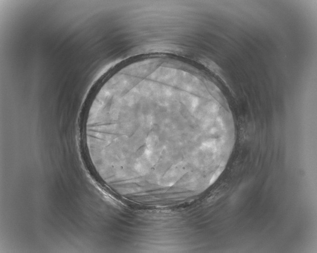 X0000063521024200602172208