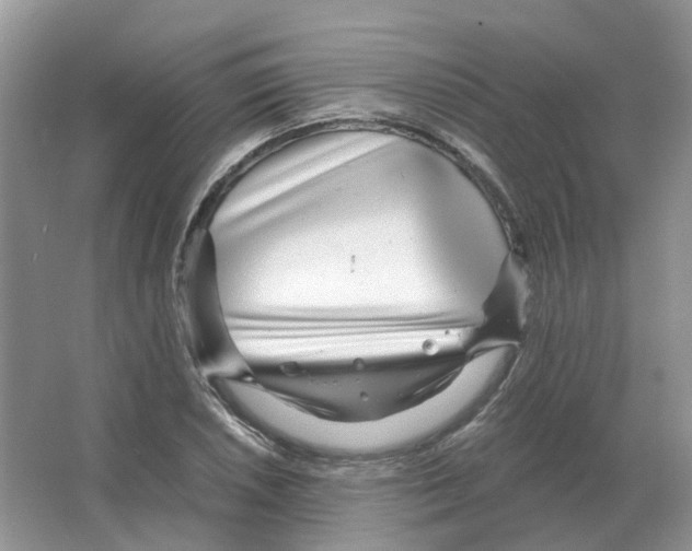 X0000063521026200602172208