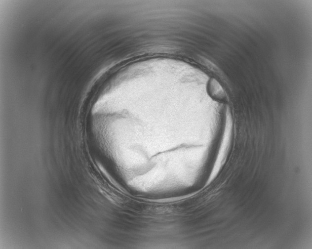 X0000063521027200602172208