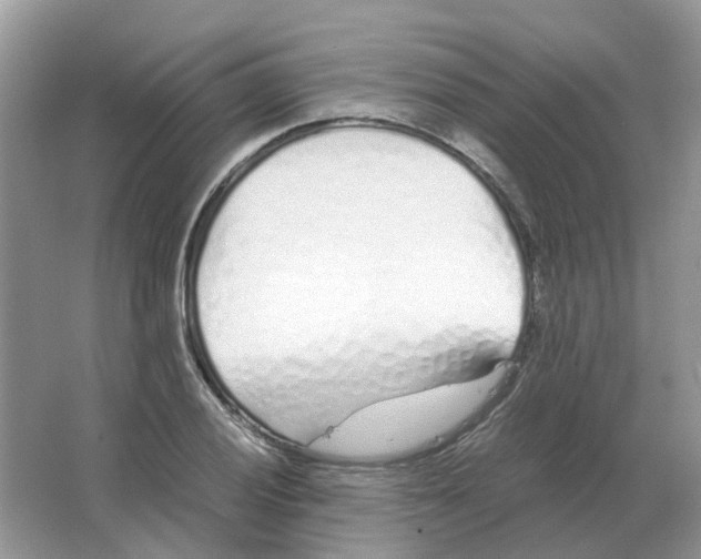 X0000063521028200602172208