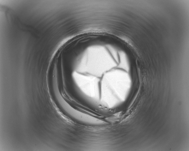 X0000063521030200602172208