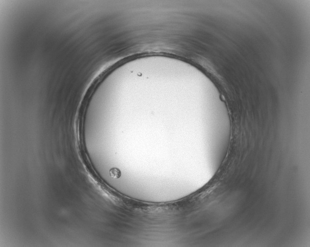 X0000063521032200602172208