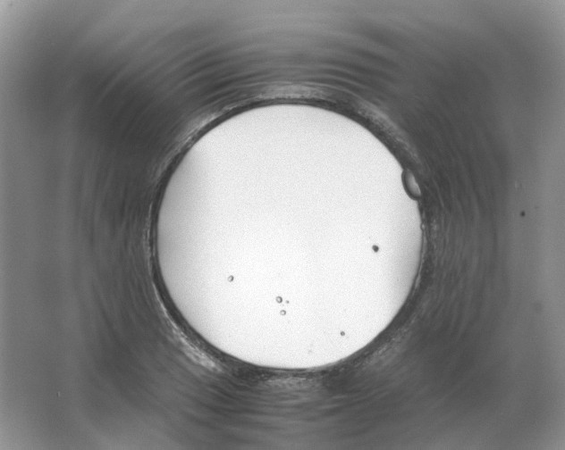 X0000063521033200602172208