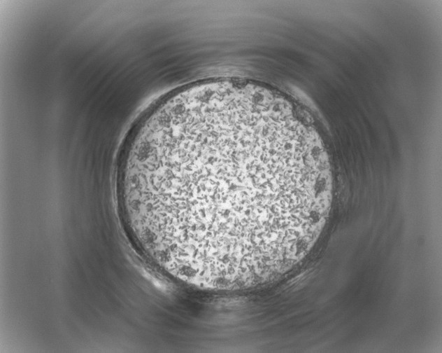 X0000063521035200602172208