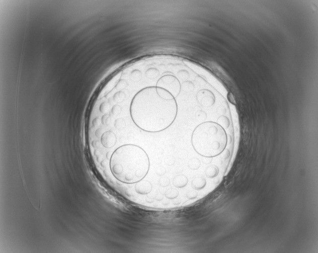 X0000063521036200602172208