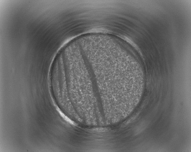 X0000063521037200602172208