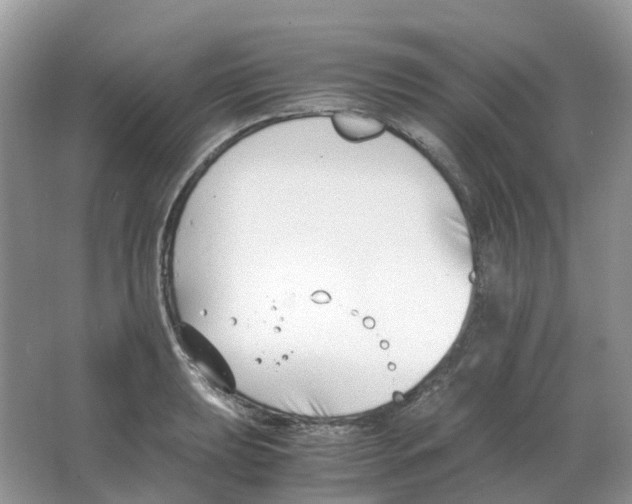 X0000063521039200602172209