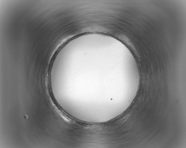 X0000063521040200602172209