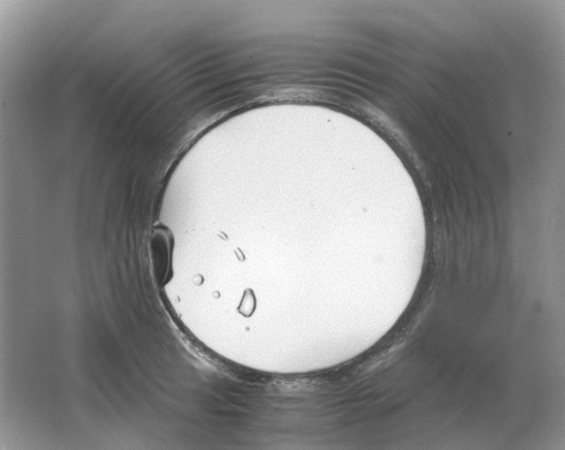 X0000063521041200602172209