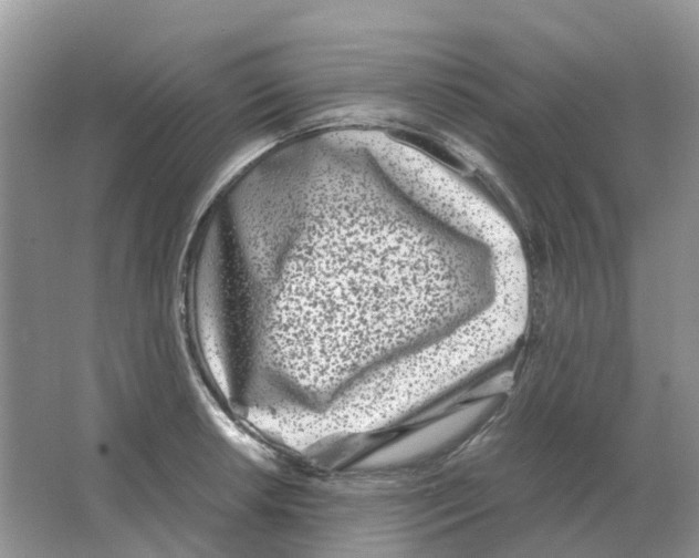 X0000063521042200602172209