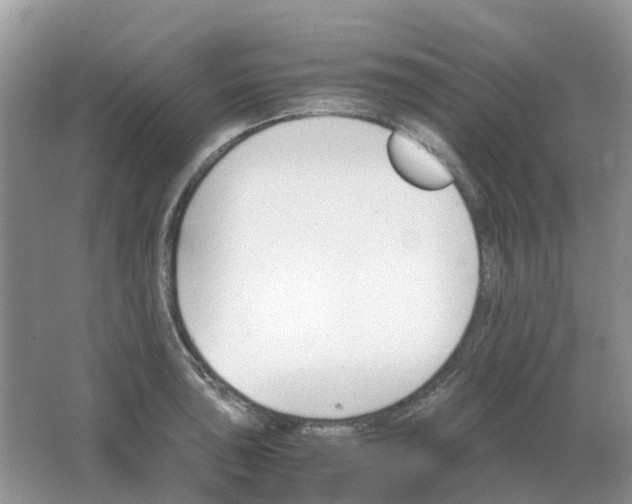 X0000063521043200602172209