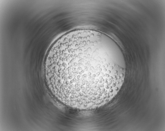 X0000063521044200602172209