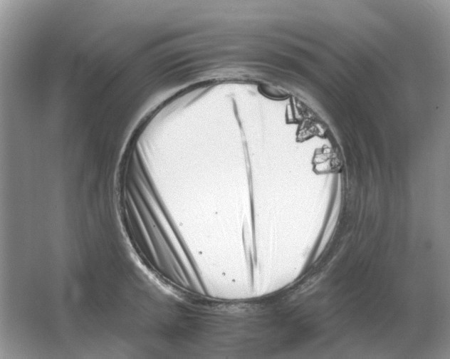 X0000063521045200602172209