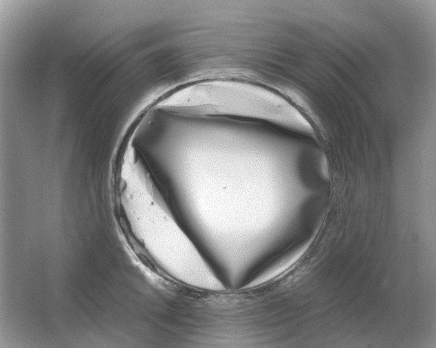 X0000063521046200602172209