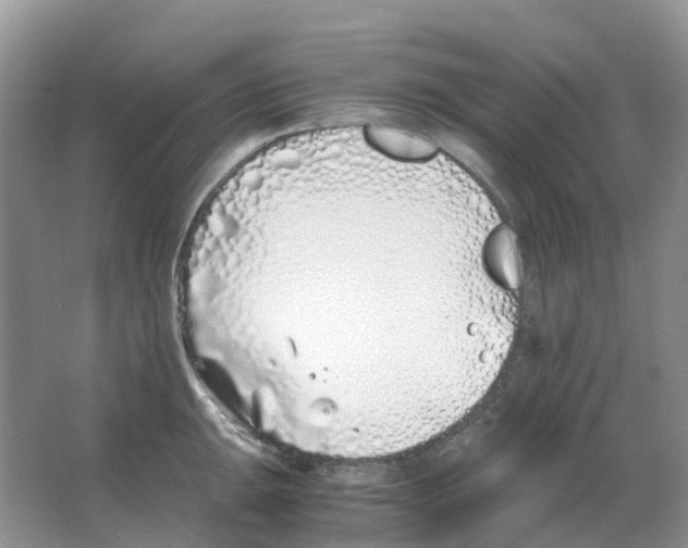 X0000063521047200602172209