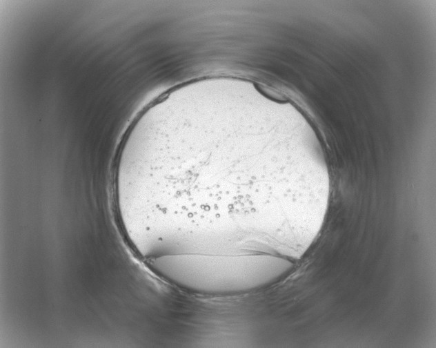 X0000063521048200602172209