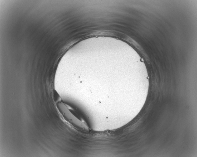 X0000063521049200602172209