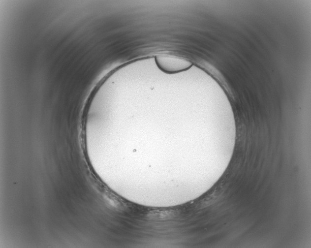 X0000063521051200602172209