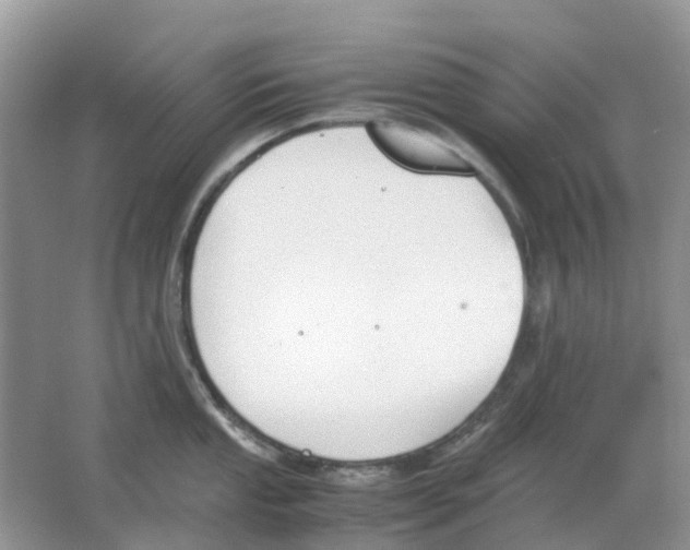 X0000063521053200602172209