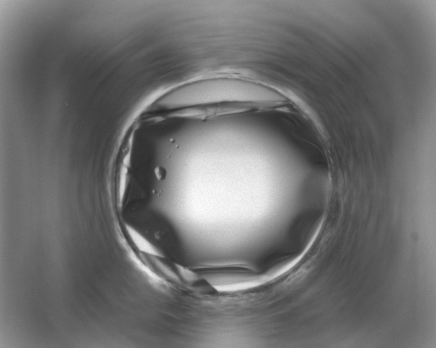 X0000063521054200602172209