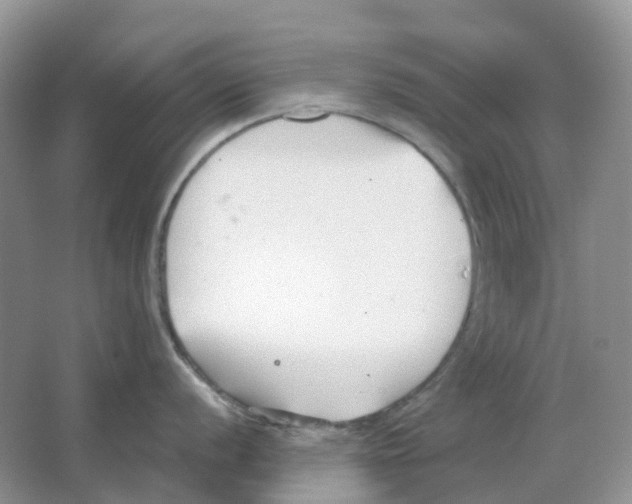 X0000063521056200602172209