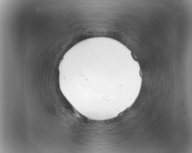 X0000063521057200602172208