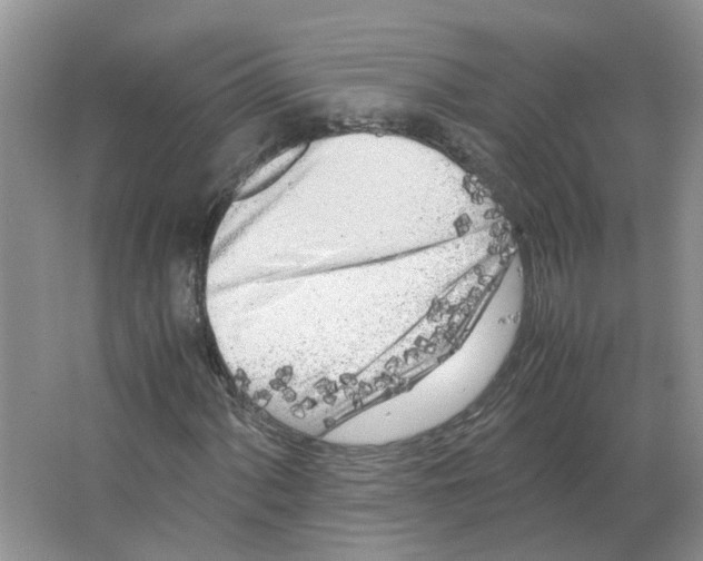 X0000063521060200602172208