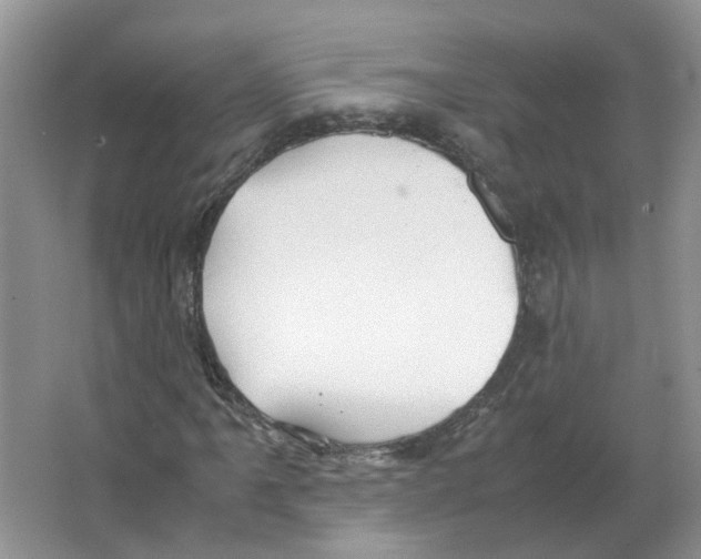 X0000063521061200602172208