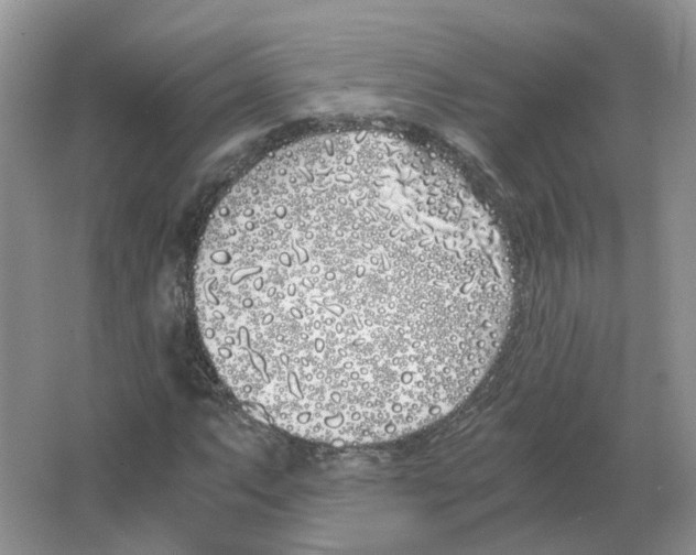 X0000063521063200602172208