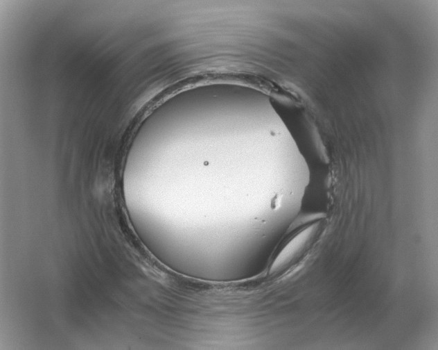 X0000063521065200602172208