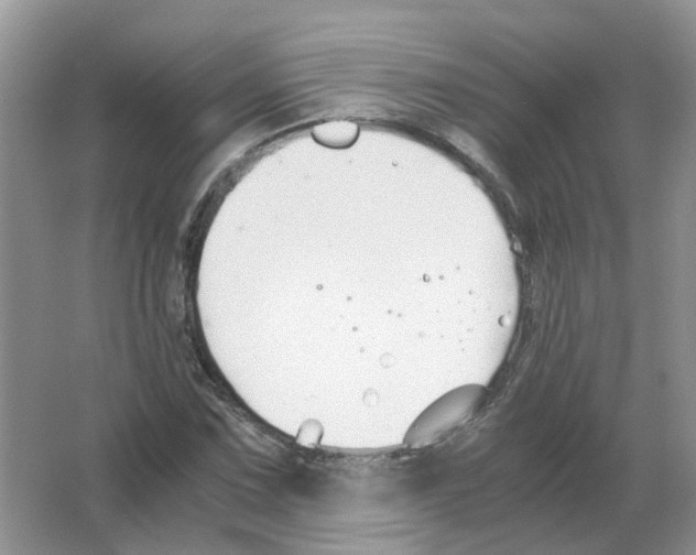 X0000063521067200602172208