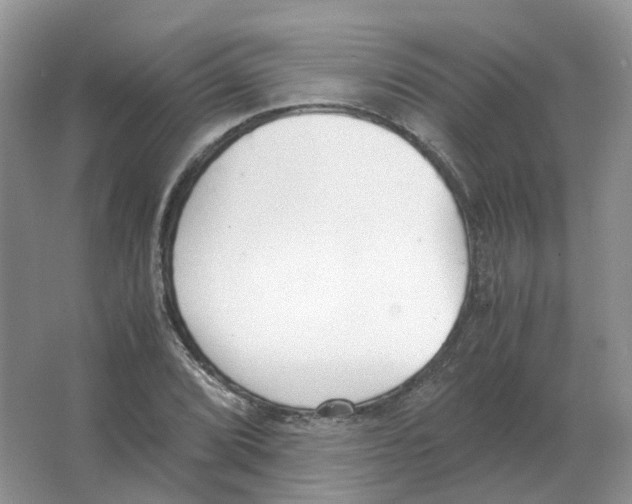 X0000063521072200602172208