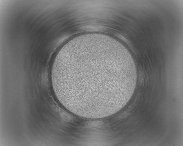 X0000063521074200602172208