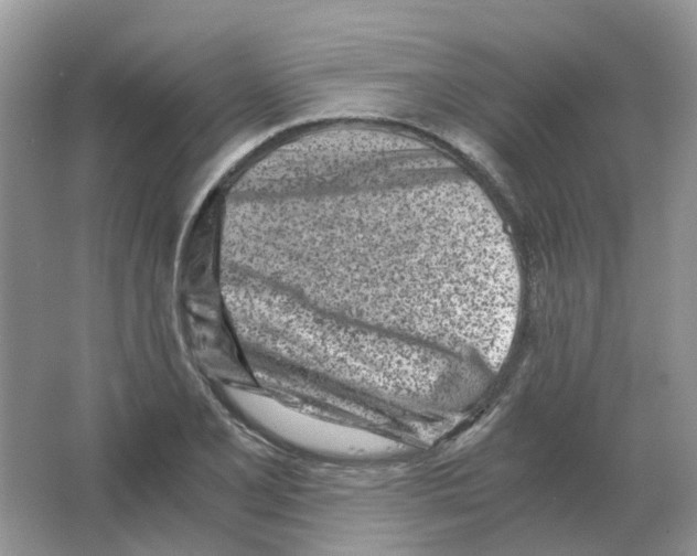 X0000063521077200602172208