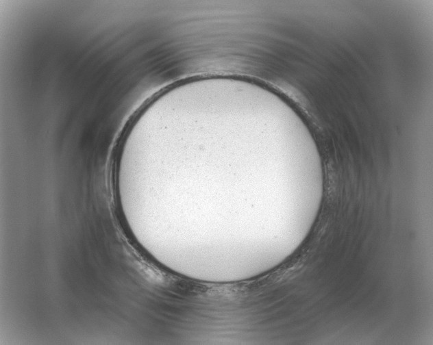 X0000063521078200602172208