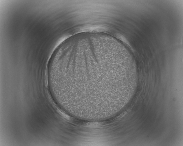 X0000063521079200602172207