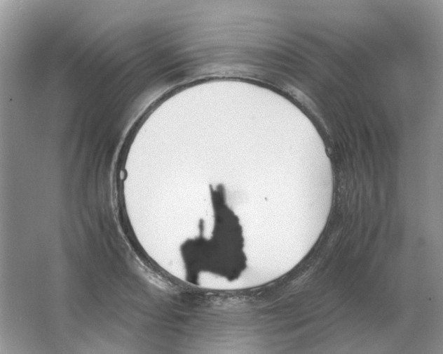 X0000063521082200602172207