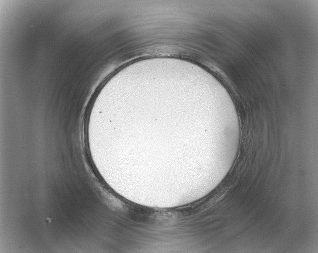 X0000063521083200602172207