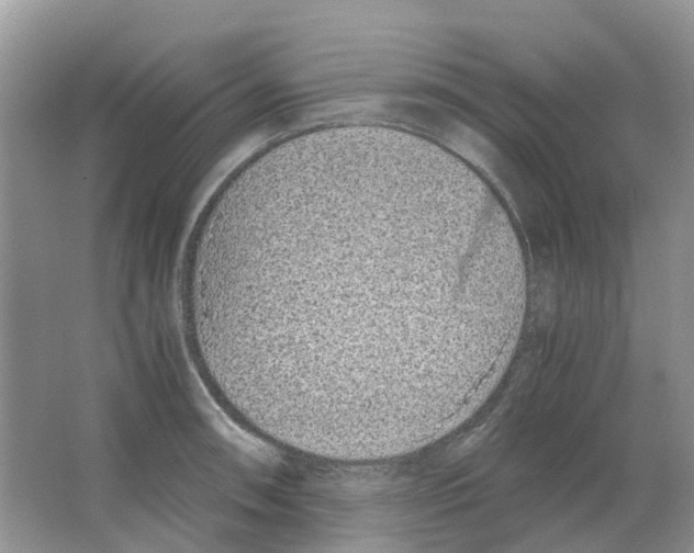 X0000063521090200602172207