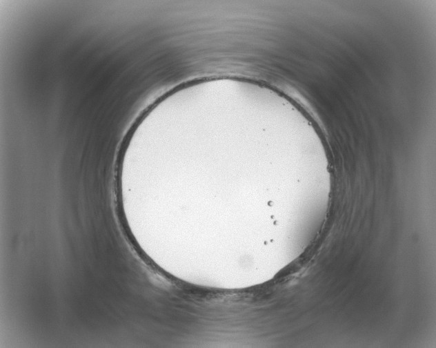 X0000063521093200602172207