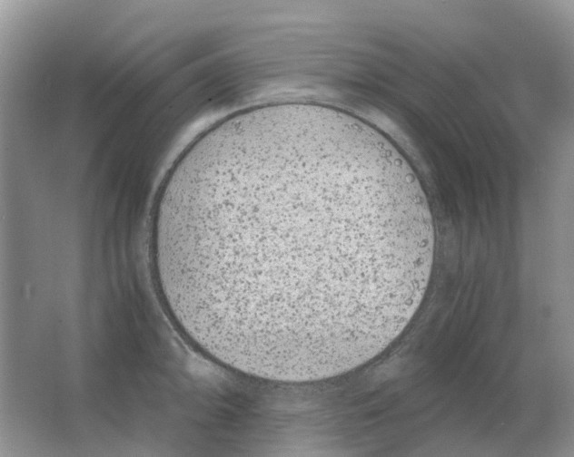 X0000063521094200602172207