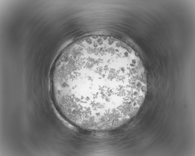 X0000063521095200602172207