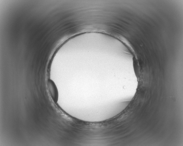 X0000063521096200602172207