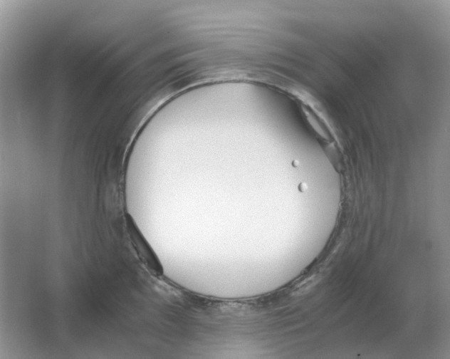 X0000063521097200602172207